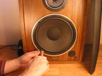 Speaker Repair