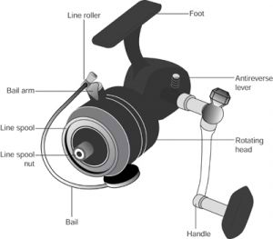 Fishing Reel Repair  How to Repair Fly Reels and Spinning Reels